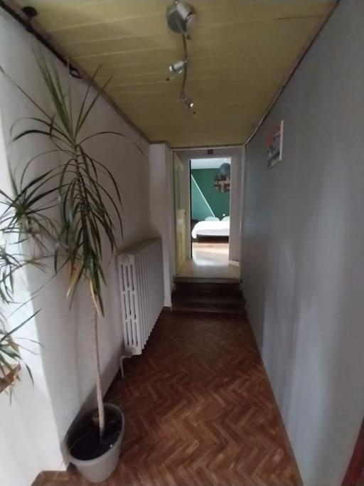 Maison En Pierres Pradinas Екстер'єр фото