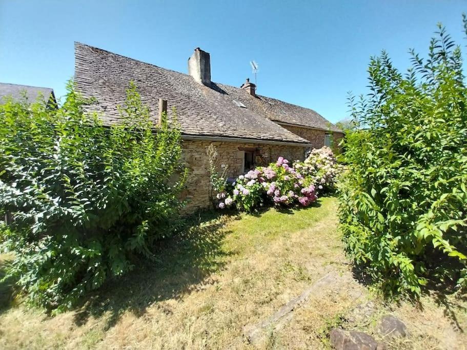 Maison En Pierres Pradinas Екстер'єр фото